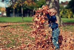 boy in leaves